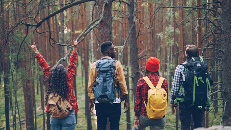 Day Trip Planning Ideas for Active Adults